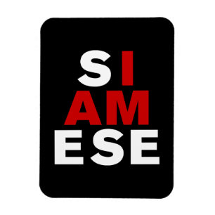 IK BEN SIAMESE MAGNEET