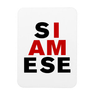 IK BEN SIAMESE MAGNEET
