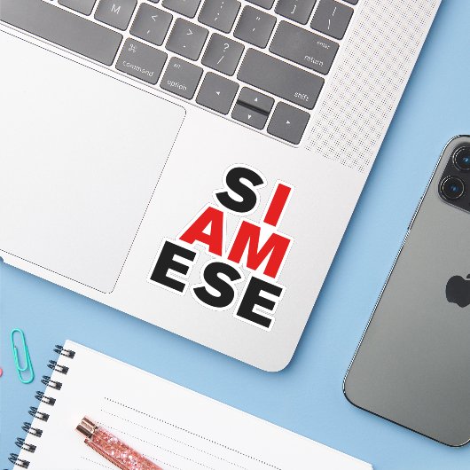 IK BEN SIAMESE STICKER (Laptop met iPhone)
