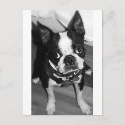 IK BEN SORRY BRIEFKAART (Voorkant)