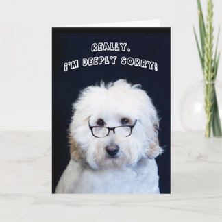 IK BEN SORRY - HUMOR W/DOG/ZWART-RIM GLASSEN KAART