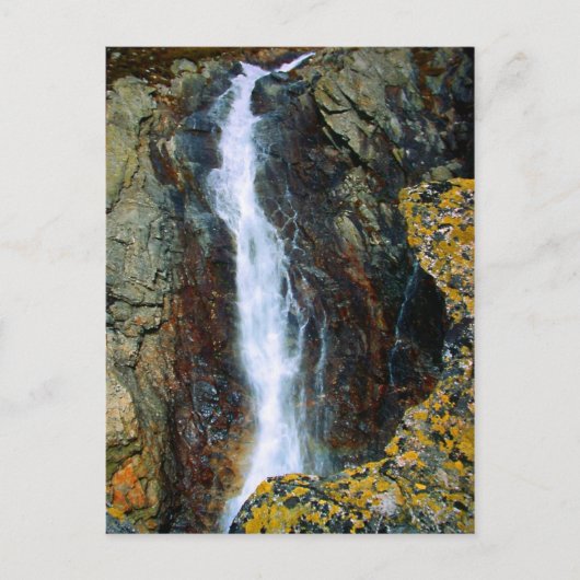 IK BEN TE ALLEEN IN DE WERELD BRIEFKAART (Voorkant)