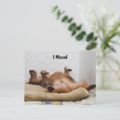 Ik ben uitgeput! Briefkaart (Staand voorkant)