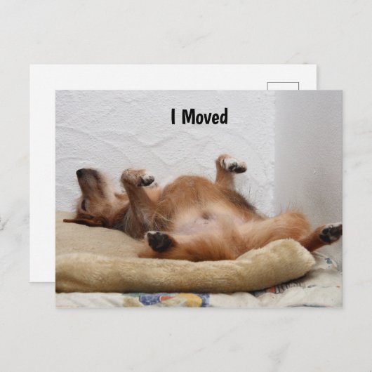 Ik ben uitgeput! Briefkaart (Voorkant / Achterkant)