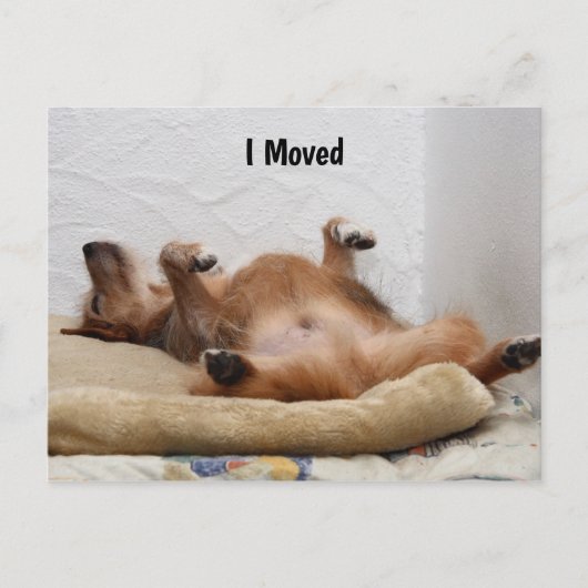 Ik ben uitgeput! Briefkaart (Voorkant)