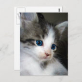 IK BEN VAN HOOFD NAAR TOE VERKLAARD BRIEFKAART (Voorkant / Achterkant)