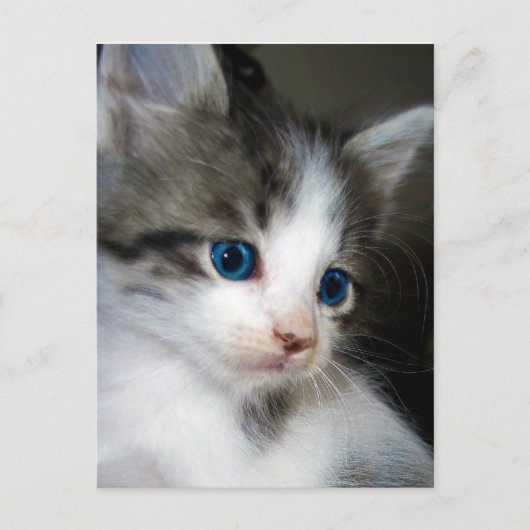 IK BEN VAN HOOFD NAAR TOE VERKLAARD BRIEFKAART (Voorkant)