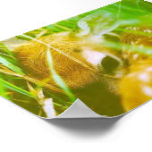 Ik ben verlegen poster (Hoek)