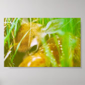 Ik ben verlegen poster (Voorkant)