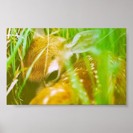 Ik ben verlegen poster (Voorkant)