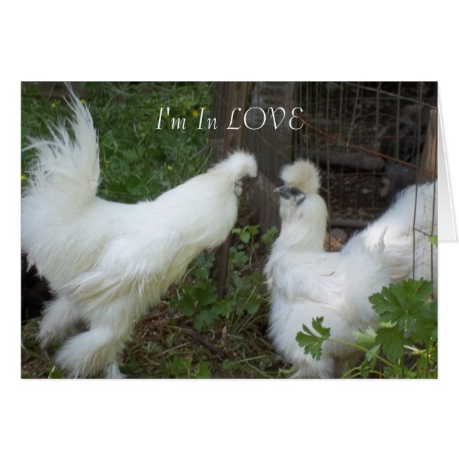 Ik ben verliefd (Voorkant Horizontaal)