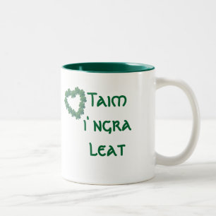 Ik ben verliefd op u (kamerleden) tweekleurige koffiemok