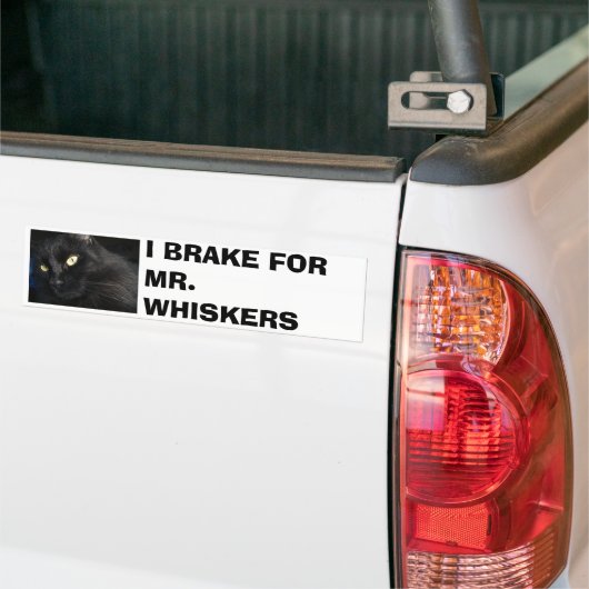 IK BEN VOOR DE HEER. WISKERS BUMPERSTICKER (Op Truck)