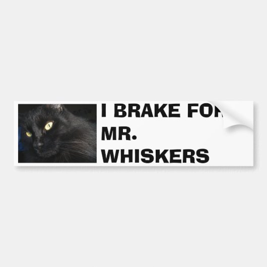 IK BEN VOOR DE HEER. WISKERS BUMPERSTICKER (Voorkant)