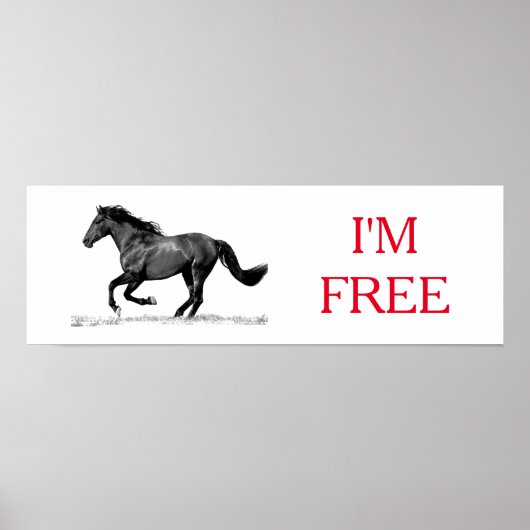 Ik ben vrij vrij vrij van paardenzwart wit. poster (Voorkant)