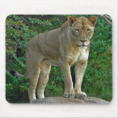 Ik ben vrouw. muismat (Voorkant)