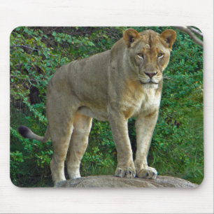 Ik ben vrouw. muismat