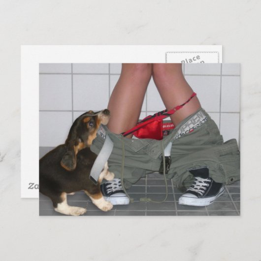 Ik ben weer opgepakt met mijn peuters. briefkaart (Voorkant / Achterkant)