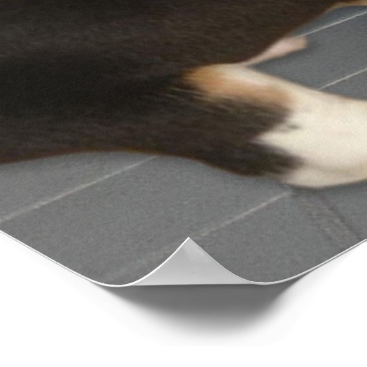 Ik ben weer opgepakt met mijn peuters. poster (Hoek)