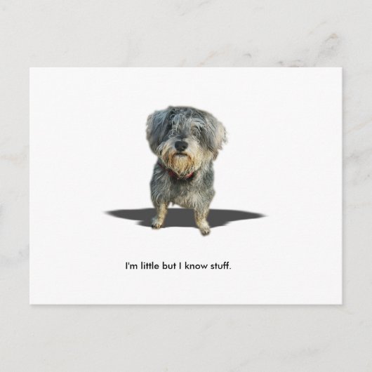 Ik ben weinig maar ik ken materiaal briefkaart (Voorkant)