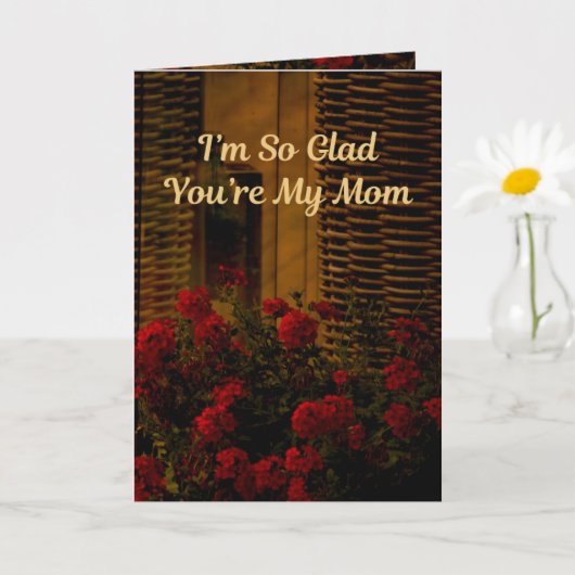 Ik ben zo blij dat je mijn moeder bent (Spreuken 3 Kaart (Kleine Plant)