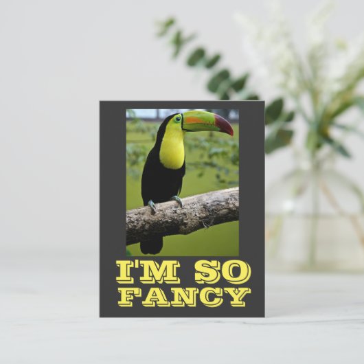 IK BEN ZO FANCY TOUCAN BRIEFKAARTEN (Staand voorkant)