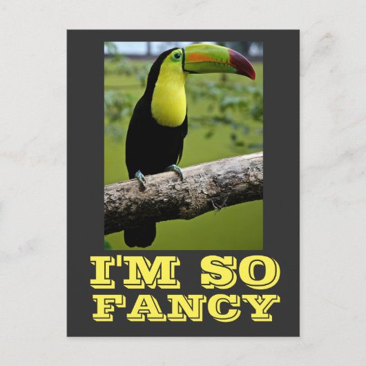 IK BEN ZO FANCY TOUCAN BRIEFKAARTEN (Voorkant)