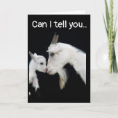 IK BEN ZO **SAD* EN ZO **SORRY* KAART (Voorkant)