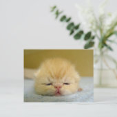 ik ben zo slaperig baby ! briefkaart (Staand voorkant)