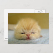 ik ben zo slaperig baby ! briefkaart (Voorkant / Achterkant)