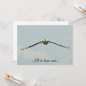 Ik ben zo thuis, Pelican Flying Kaart (Voorkant / Achterkant in situ)