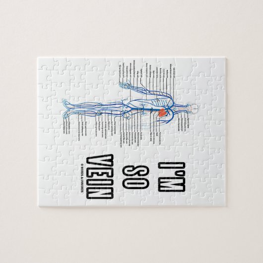 Ik ben zo Vein (Circulatory System Anatomy Veins) Legpuzzel (Horizontaal)