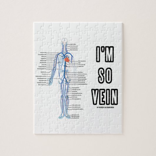 Ik ben zo Vein (Circulatory System Anatomy Veins) Legpuzzel (Verticaal)