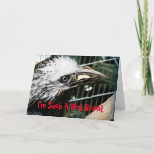 Ik ben zo'n Bird Brain Funny Belated Birthday Card Kaart