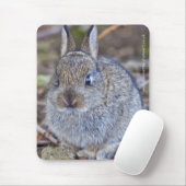 Ik ben zo'n schatje! Muismat (Met muis)