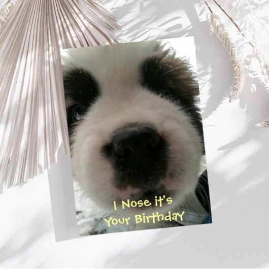 Ik besnuffel het ben Uw Kaart van de Verjaardag
