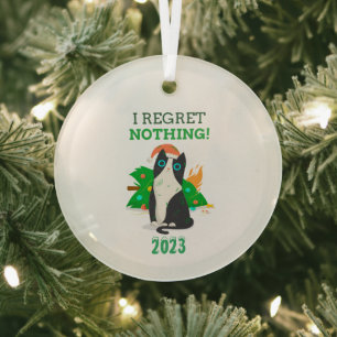 Ik betreur het dat er geen kerstkat is glas ornament