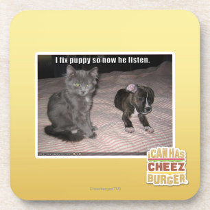 Ik bevestig puppy onderzetter