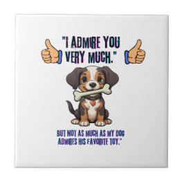 IK BEWONDER JE ZEER TEGELTJE