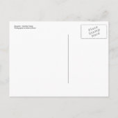 Ik bewoog! aankondigingskaart (Achterkant)