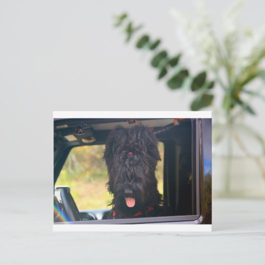 Ik bezit deze jeep briefkaart (Staand voorkant)