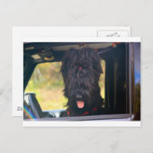 Ik bezit deze jeep briefkaart (Voorkant / Achterkant)