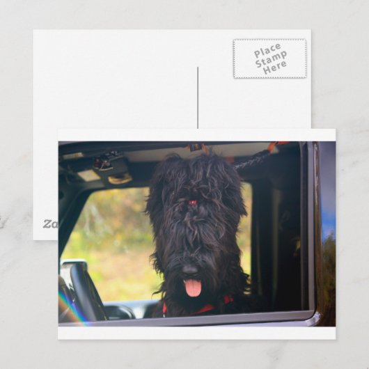 Ik bezit deze jeep briefkaart (Voorkant / Achterkant)