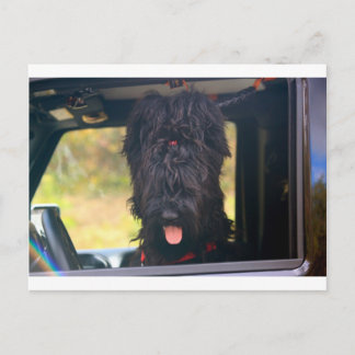 Ik bezit deze jeep briefkaart