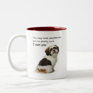Ik bezit jou Shih Tzu Tweekleurige Koffiemok