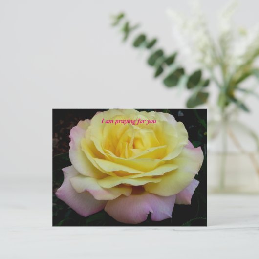 Ik bid voor u briefkaart (Staand voorkant)