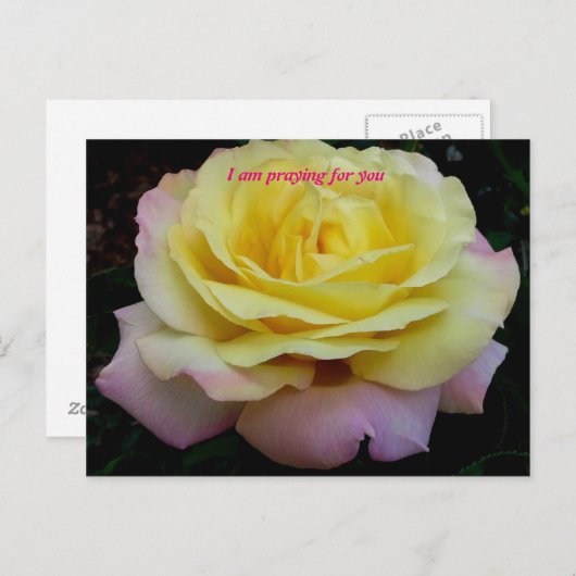 Ik bid voor u briefkaart (Voorkant / Achterkant)