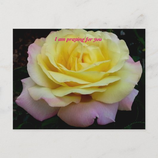 Ik bid voor u briefkaart (Voorkant)