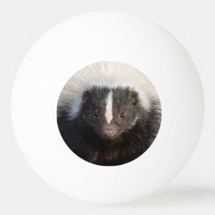 Ik blijf bij pingpong pingpongbal
