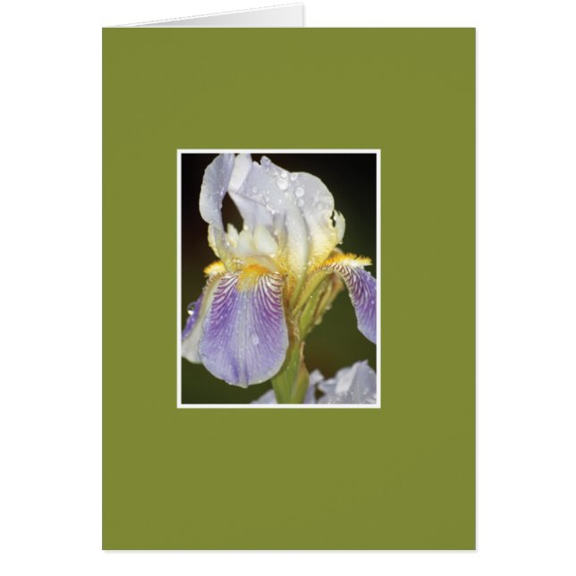 Ik bloei met jou (Voorkant)